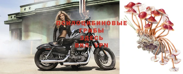 герыч Абаза