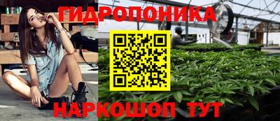 спиды Новозыбков