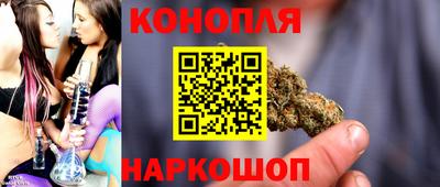 спиды Новозыбков