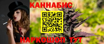 спиды Новозыбков
