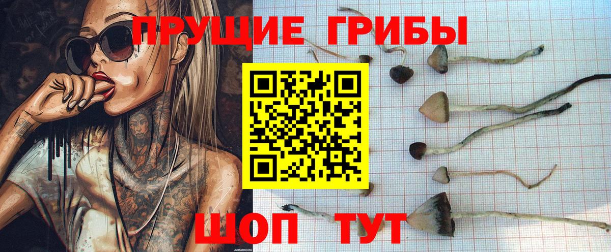 Галлюциногенные грибы Cubensis Павловский Посад